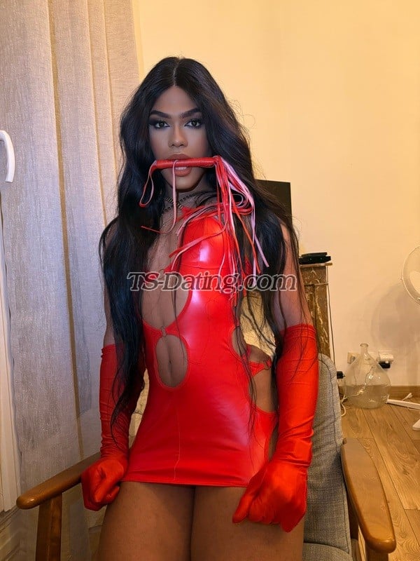 shemale model  in Frankfurt