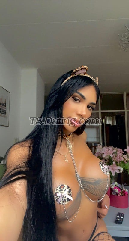 shemale model Ashley in Amsterdam