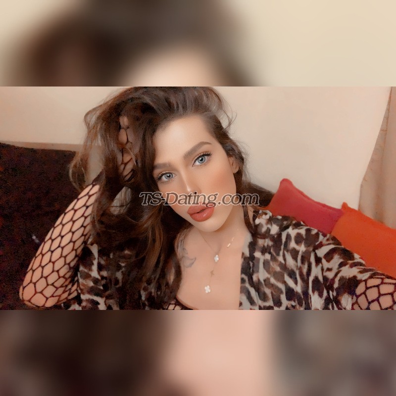 shemale model Angie in Beirut