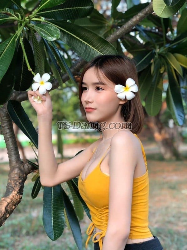 shemale model Bella in Phuket
