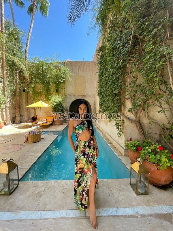 shemale model Ashley in Brisbane