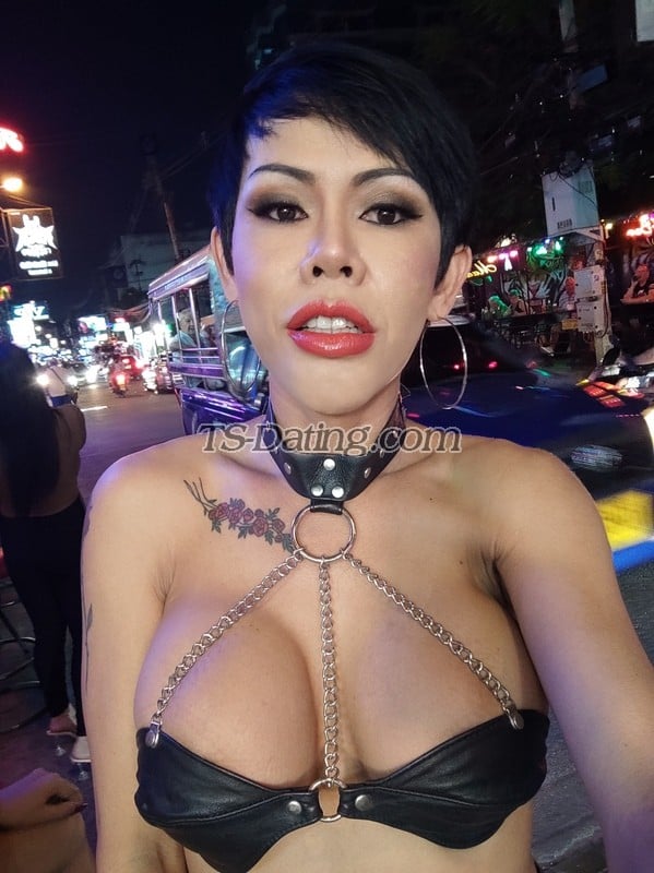 shemale model Lew in Pattaya