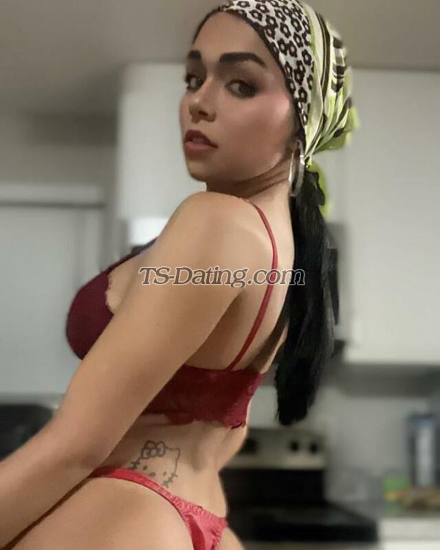 shemale model Alexa in Antalya