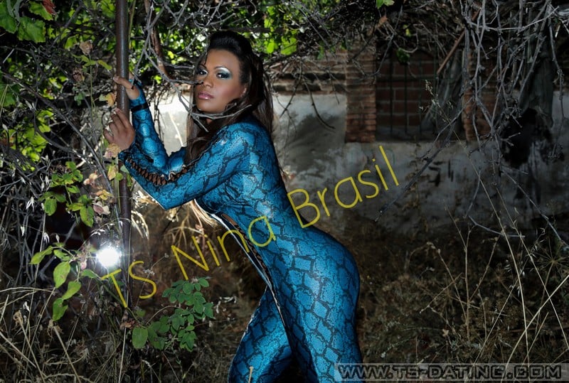 shemale model Ts Nina Brasil in Birmingham