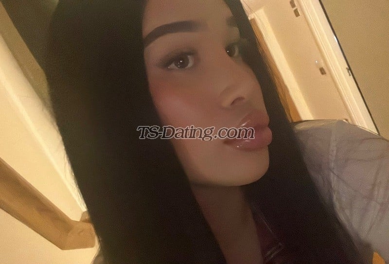 shemale model dolly in Manchester